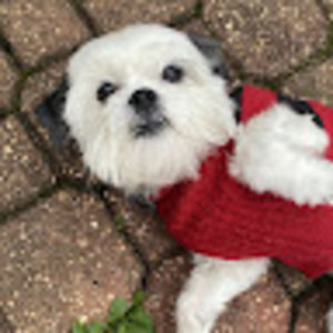 Meet your Posher, Laurie